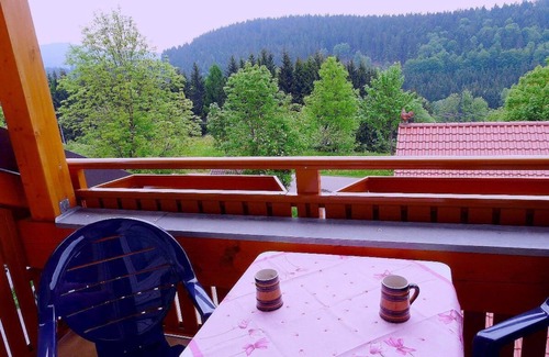 Glashutt Apartment | Großzügiges und Freundlich Eingerichtetes Appartement mit Modernem Dusch-badezimmer