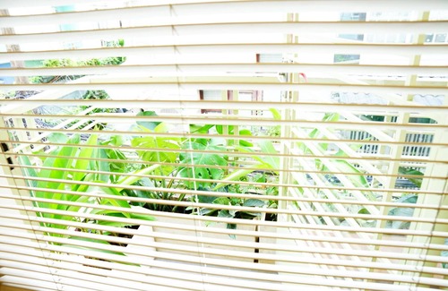District 3 House | Group 6 Bancony 2BR Furnishing Sunny Kiss Bed Central D3 Street Food Paradise