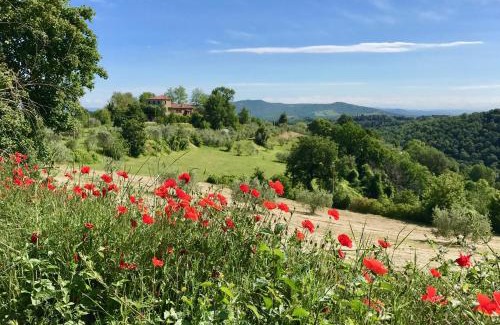 Citta della Pieve House | Grove Cottage: Immersed in nature & close to town