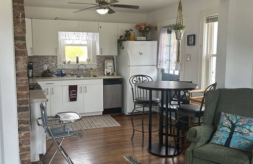 Burnt Chimney House | GUEST FAVORITE! ROANOKE RIVER&BIKE TRAILS. PET FRIENDLY WEEKLY DISCOUNTS HOT TUB