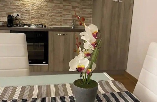 Reggio Calabria Apartment | Guest House Civico 513 Holiday House Reggio Calabria