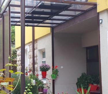 Soko Banja Apartment | Guest House Pavlovic