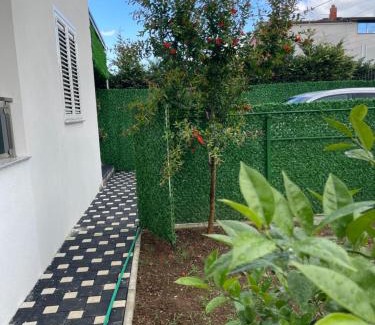 Kamez House | Guest House White Villa