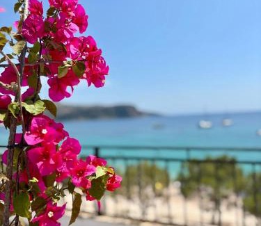 Himare Bed & Breakfast | Guesthouse 1932