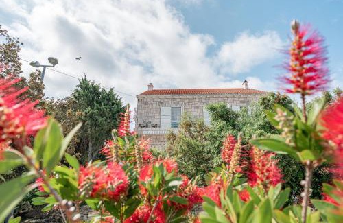 Pomena House | Guesthouse Kamarin