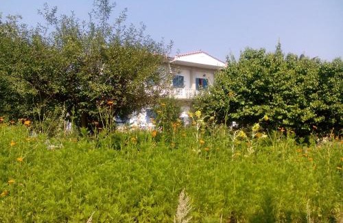 Eresos-Antissa House | Guesthouse Karidia