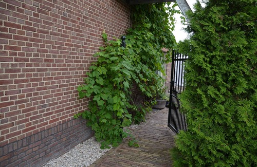 Volkel House | Guesthouse Volkel, luxury large apartment with garden and full pricacy