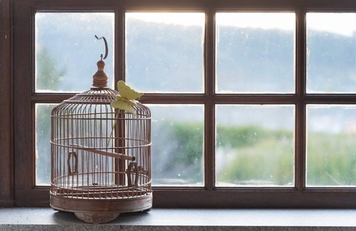 Paredes de Coura Apartment | GuestReady - Casa das Alminhas