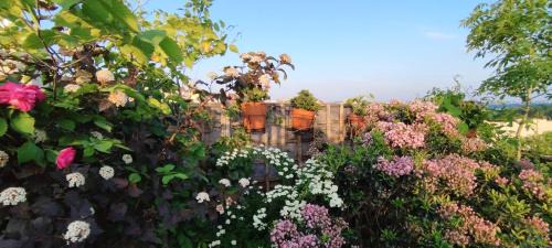 Zizkov House | Guestrooms, rooftop with garden, spacious living room, character and fireplace