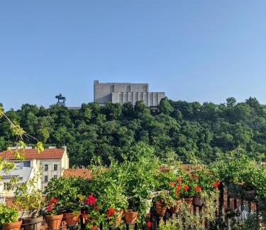 Zizkov House | Guestrooms, rooftop with garden, spacious living room, character and fireplace