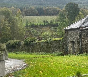 South Tipperary House | Gurteen farm house