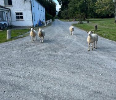 South Tipperary House | Gurteen farm house
