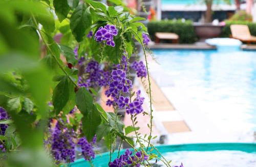 East Ham Tien Beach Hotel | Ha Phuong Mui Ne Hotel
