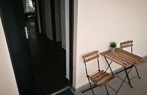 Brno-stred Apartment | Haas Apartments Downtown with Parking