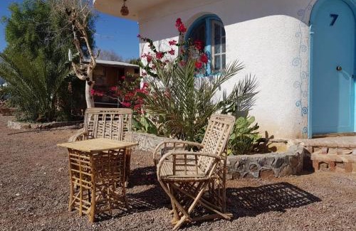 Nuweiba Cabin | Habiba Beach Lodge