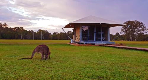 Boreen Point Other | Habitat Noosa