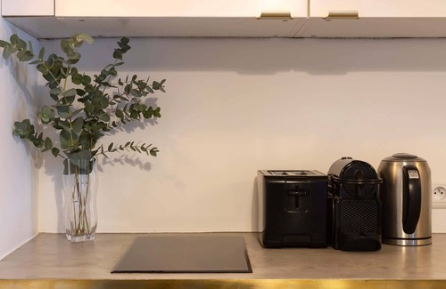 Quartier de la Place-Vendome Apartment | Habitat Parisien-1BR/1BA-in front of the Louvre II