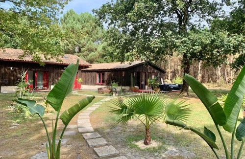 Hourtin Bed & Breakfast | Hacienda de la Canopée avec piscine chauffée au sel