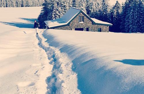Novot Cabin | Hacienda na Orave