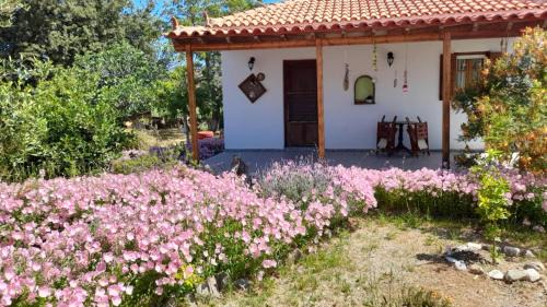 Skala Eresou House | Hakuna Matata