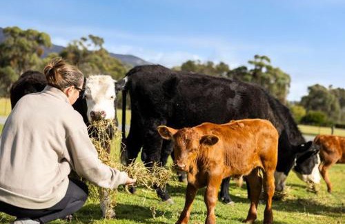 Halls Gap Resort | Halls Haven Holiday Units