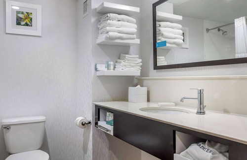 Adel Hotel | Hampton Inn Adel
