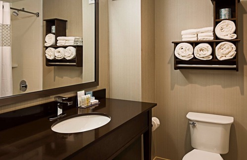 Ottawa Division Hotel | Hampton Inn by Hilton Ottawa Airport, ON, CN