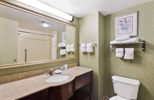 Flemington Hotel | Hampton Inn Hinesville