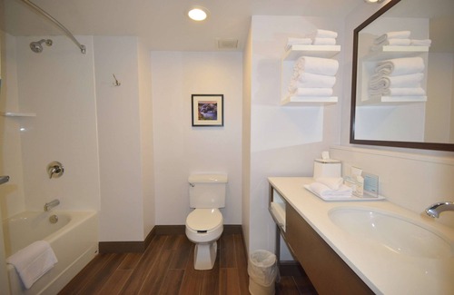 Salem Hotel | Hampton Inn Salem East - Electric Road