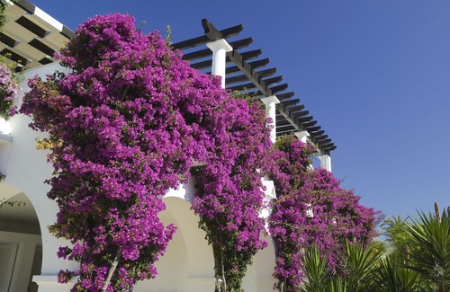 Sesmarias Apartment | Hapimag Resort Albufeira