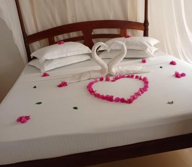 Shela Apartment | Happiness House