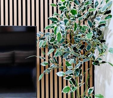 Qormi Apartment | Happiness