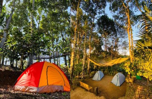 Sulthan Bathery Other | HAPPY FEET CAMPING