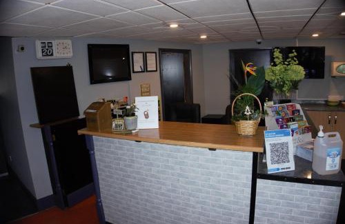 Warrington House | Happy Guests Lodge