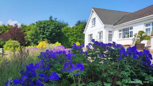 Ballydaniel House | Happy Hill Guesthouse