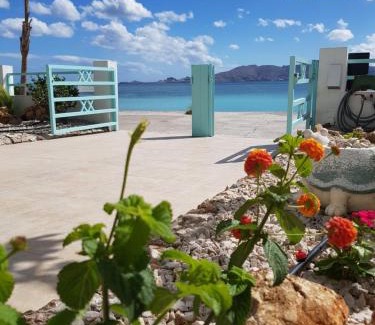 Haraki Apartment | Haraki Mare Studios beach front