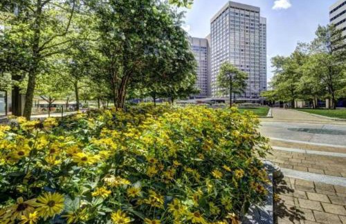 Downtown Baltimore Apartment | Harbor apartments Free indoor Parking