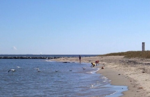 Calvert Beach-Long Beach Cottage | Harbor Cottage at the Chesapeake Bay - Dog Friendly Beach