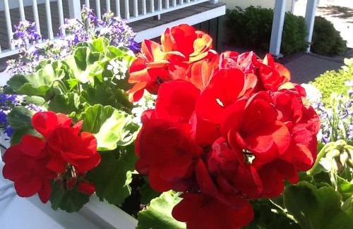 Boothbay Harbor Bed & Breakfast | Harbor House Inn