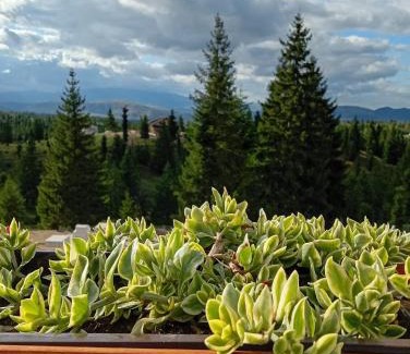 Belis House | Harmony Retreat
