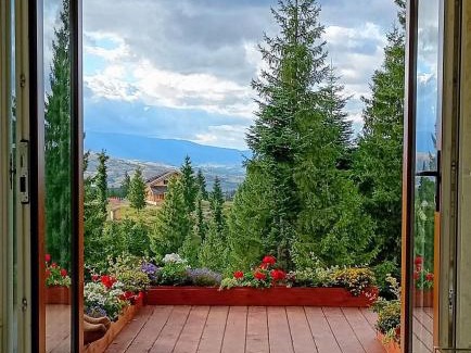 Belis House | Harmony Retreat