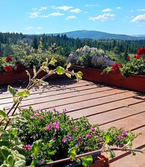 Belis House | Harmony Retreat
