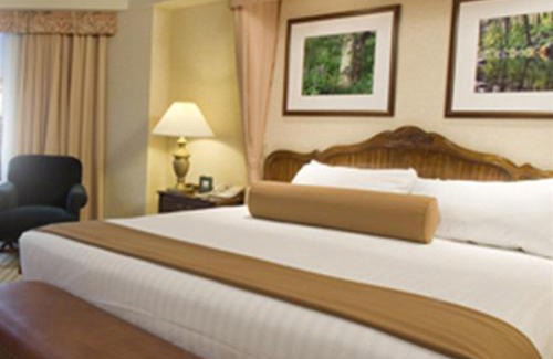 Stateline Resort | Harrah's Lake Tahoe Hotel & Casino
