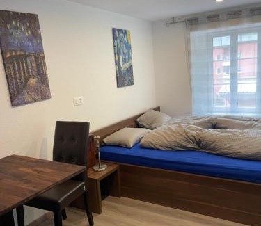 Wassen House | Haus Alpenhof