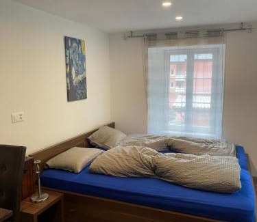 Wassen House | Haus Alpenhof