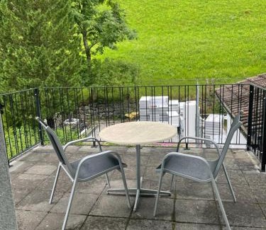 Wassen Apartment | Haus Alpenhof