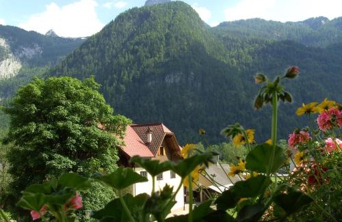 Obertraun House | Haus Alpenrose Obertraun
