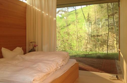 Bregenz Apartment | Haus am Felsen, Ferien in Vorarlberger Architektur