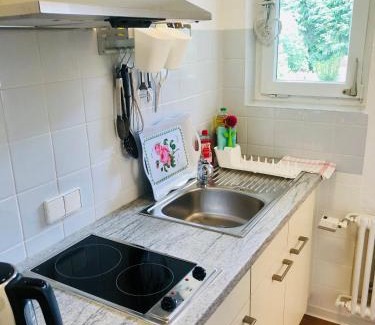 Altglashutten Apartment | Haus Anna-Marie