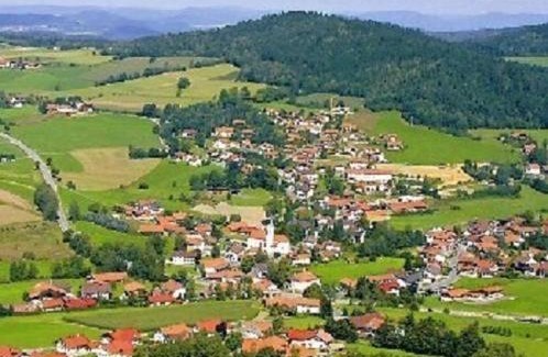Wiedenmuhle Apartment | Haus Bergblick Bay. Wald